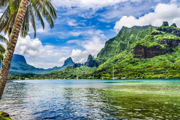 colorate barche a vela cook's bay mount tohivea moorea tahiti - polynesia foto e immagini stock