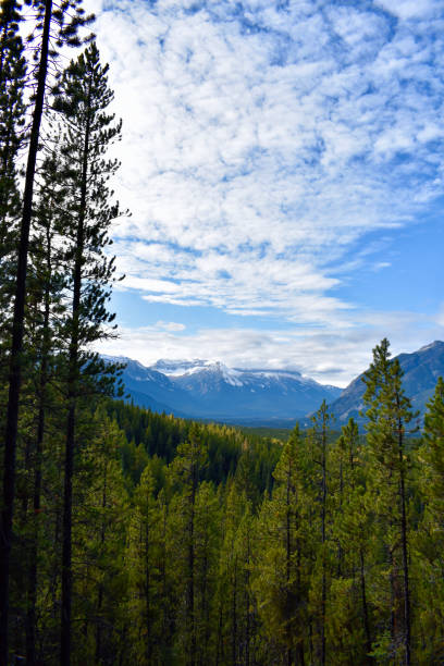 istock Nature Mountain Photo Shoot June 2021 1324145286