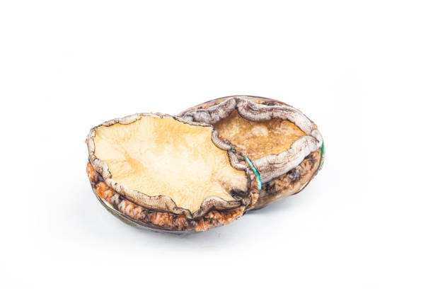istock Raw abalones on the white background 1324152833