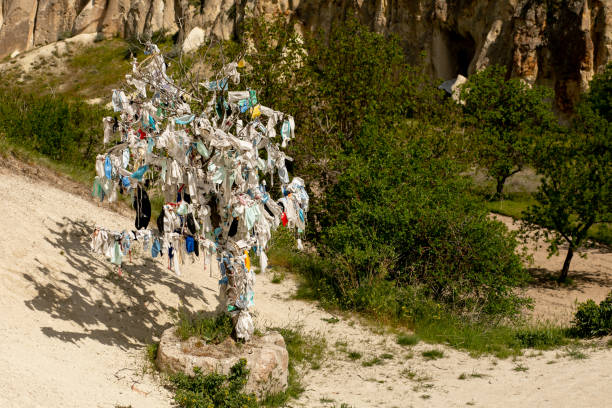 istock Used face masks are collected and hung on a tree 1324156174