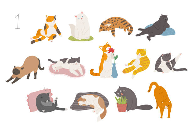 ilustraciones, imágenes clip art, dibujos animados e iconos de stock de gato gracioso - feline