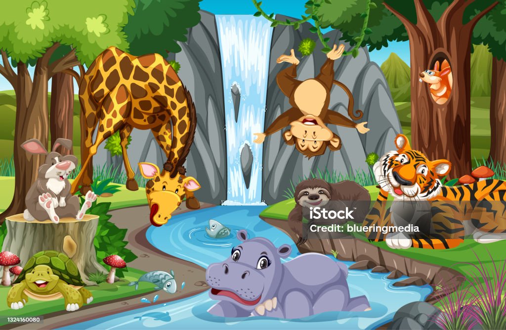 Wild Animals In The Jungle Stock Illustration - Download Image Now - Animal,  Animal Wildlife, Animals In The Wild - iStock