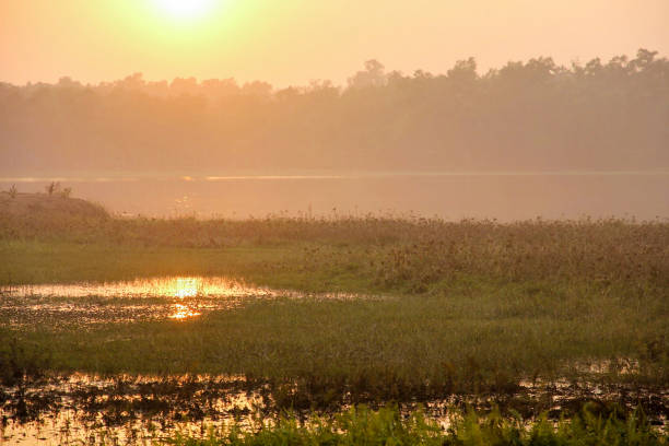 Sun sets above a large green marshy wetland