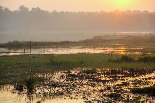 istock Sun sets above a large green marshy wetland 1324161726
