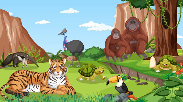 A tiger with otther wild animals in forest scene A tiger with otther wild animals in forest scene illustration wood turtle stock illustrations