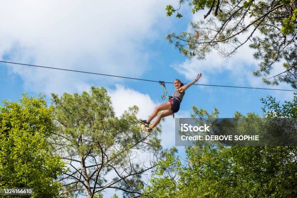 Pretty Young Woman In An Extreme Tree Climbing Course Stock Photo - Download Image Now