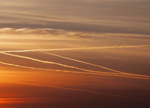 Lines in the golden morning sky.