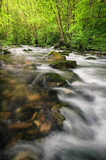 istock Jumping waters between large boulders in the Lor river 1324171361