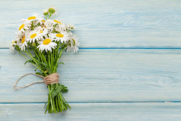 istock Garden camomile flowers bouquet 1324171366