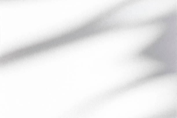 istock Shadow overlay on smooth paper. Abstract floral pattern as mockup, top view 1324171741