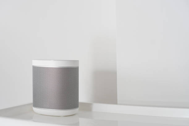 Ai Speaker for home automation