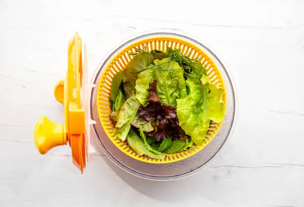 Top view of salad spinner tool bowl with leafy greens inside. Comfortable way for washing and drying salad leaves.