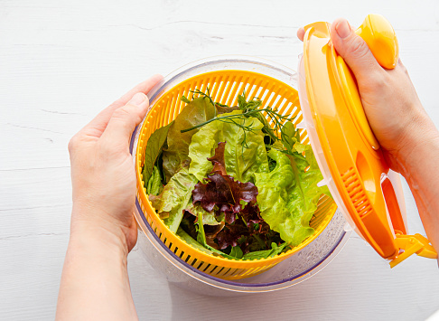 Top view of woman hands holding and drying salad in spinner tool bowl, healthy leafy greens inside. Comfortable way for washing and drying salad leaves.