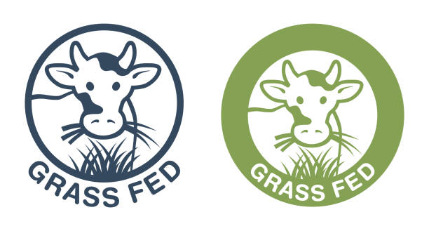 Grass-fed stamp for beef labeling Grass-fed sticker for beef labeling - cow chewing grass in circular stamp. Isolated flet vector emblem grass fed stock illustrations