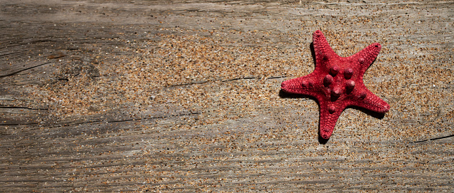 Dried red starfish on wooden background. Flat lay, place for text.