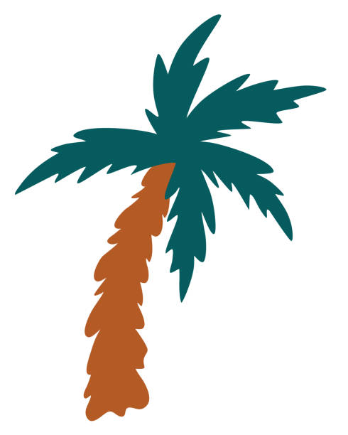 cartoon-palme. kokosnuss-baum. sommerurlaub. vektor-cartoon-illustration. - rainforest palm tree leaf plant stock-grafiken, -clipart, -cartoons und -symbole