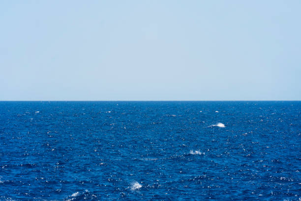istock Seascape with sea horizon and almost clear deep blue sky 1324184590
