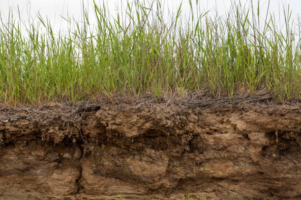 istock Soil cut due to landslide. 1324184810