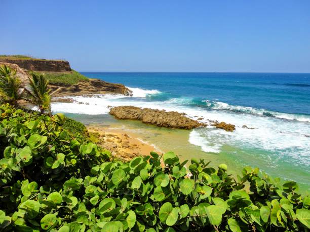 istock The Beach, San Juan, Puerto Rico 1324184819