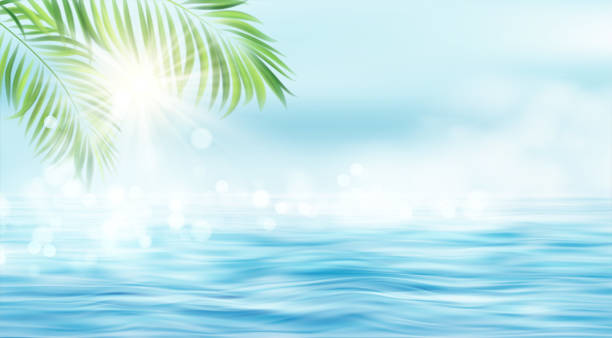 ilustrações, clipart, desenhos animados e ícones de paisagem marítima de verão. os raios do sol e as folhas da palmeira no fundo da paisagem marítima. raios solares borraram efeito bokeh. ilustração vetorial - linha do horizonte sobre água