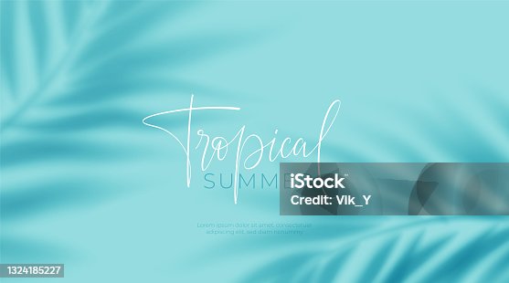 istock Realistic transparent shadow from a leaf of a palm tree on the blue background. Tropical leaves shadow. Mockup with palm leaves shadow. Vector illustration 1324185227