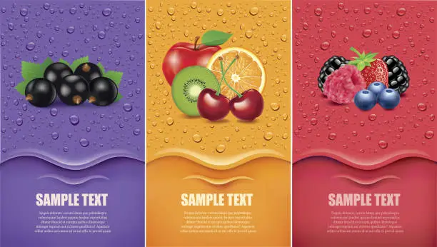 Vector illustration of Banners with forest fruit, multivitamin, black currant and many fresh juice drops