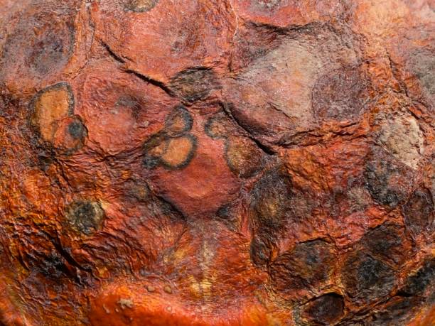 istock Close-up on a natural orange rotten fruit in decomposition. Background 1324187611