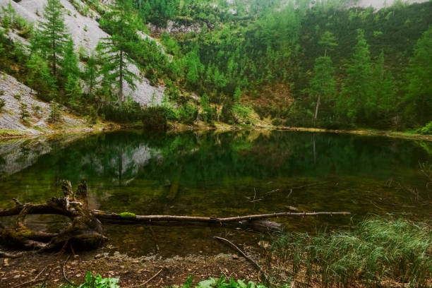 istock mountain lake on the summit from a mountain while hiking 1324189176