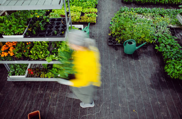 dipendente che cammina attraverso il centro giardino - working retirement blurred motion distribution warehouse foto e immagini stock