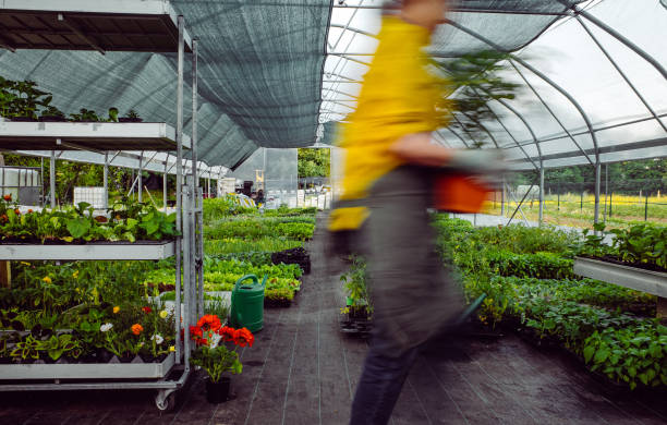 dipendente che cammina attraverso il centro giardino - working retirement blurred motion distribution warehouse foto e immagini stock