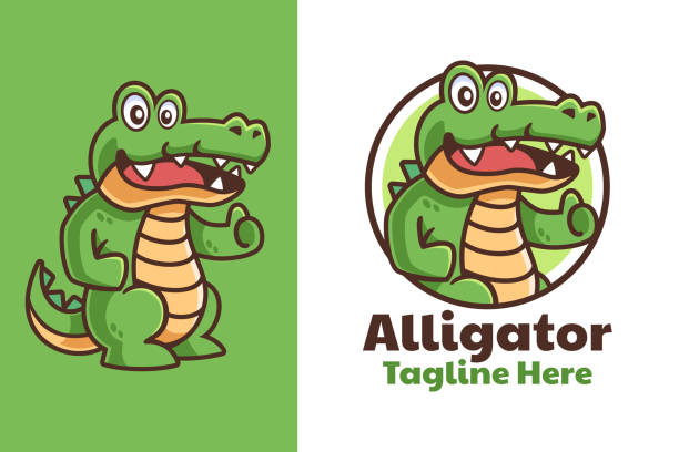 Alligator thumbs up Cartoon Logo Design Crocodile Alligator thumbs up Cartoon Logo Design alligator stock illustrations