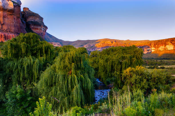 Scenic panoramic South Africa Golden Gate national park landscape with golden red rocks Scenic panoramic South Africa Golden Gate national park landscape with golden red rocks,mountains,trees, river  and a sunny blue sky golden gate highlands national park stock pictures, royalty-free photos & images