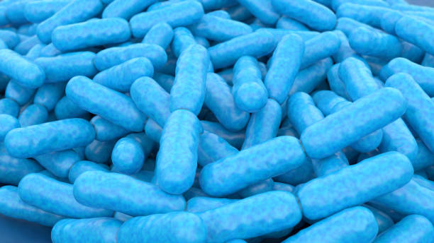 istock Lactobacillus Acidophilus Bacteria 1324195258