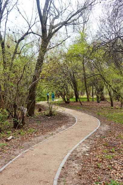 istock walking path among the trees and bushes in the park 1324196257