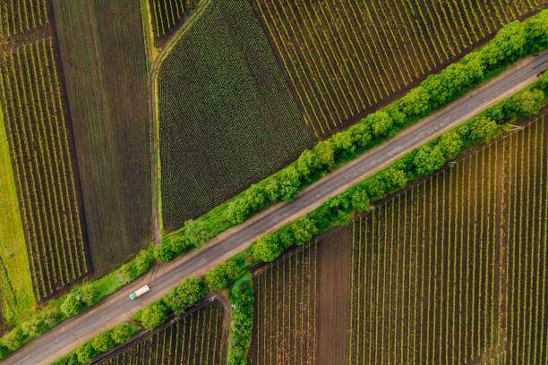 tortuosa strada di campagna sul campo. - country road foto e immagini stock