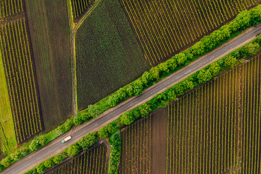 winding country road in the field. Aerial view of a field with a asphalt road. Faming life scenery. Colorful agriculture fields landscape.