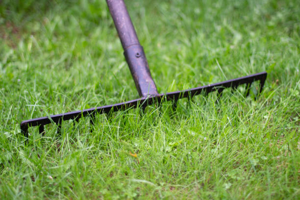 istock Rake in the garden. Garden tools. 1324197998