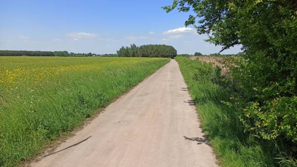 istock Lower Silesia, Poland - general landscape, green fields 1324200373
