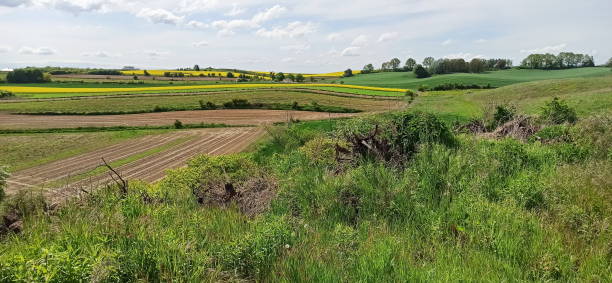 istock Lower Silesia, Poland - general landscape, green fields 1324200537