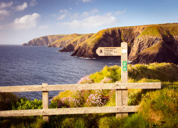 ペンブロークシャーの海岸線 - wales south wales coastline cliff ストックフォトと画像