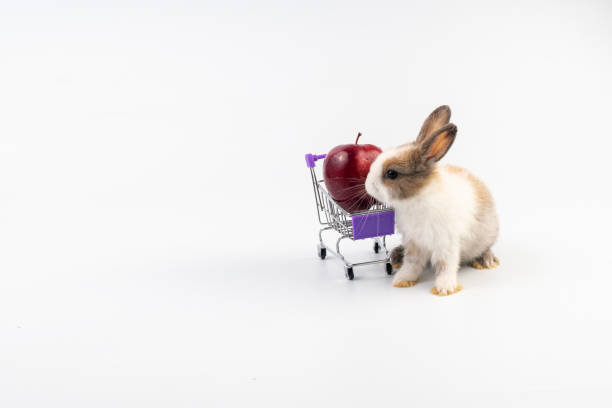 istock Adorable young bunny sitting beside shopping cart with fresh red apple while standing over isolated white background. Newborn baby rabbit with shopping cart looking something. Easter and shop online. 1324207868