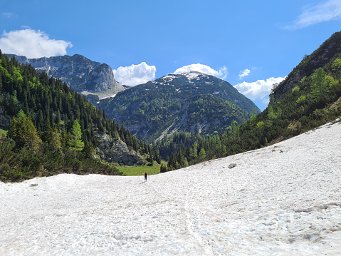 Man crossing the snowy glacier valley in the July Alps during summer