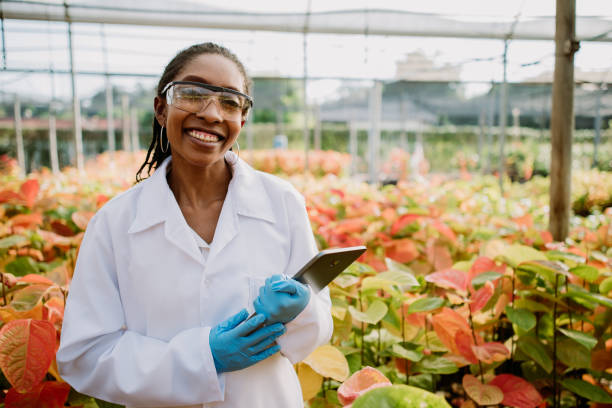 mulher analisando plantas ciência - agriculture greenhouse research science - fotografias e filmes do acervo