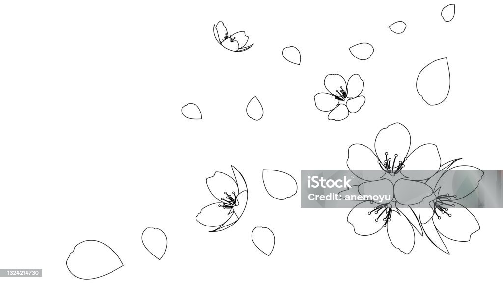 Sakura Line Frame Sakura Frame Froral Spring Natural Stock Illustration - Download Image ...