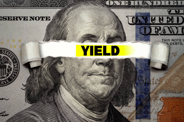 istock Torn bills revealing YIELD words. Ideas for US Dividend yield, stocks and funds 1324217755