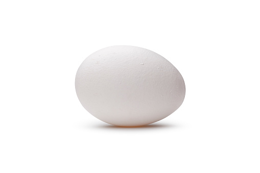 Chicken's egg isolated on white