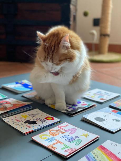 istock Red Cat over the paper 1324225859