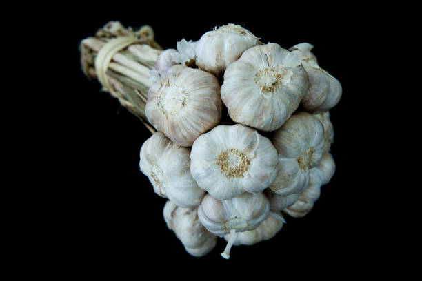 The garlic die cut on black background