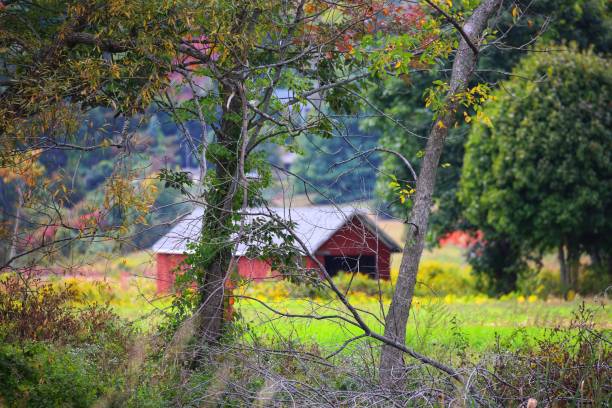 istock Beautiful Massachusetts farm 1324228791