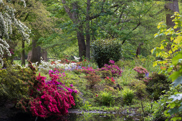 istock Woodland flowers 1324228892